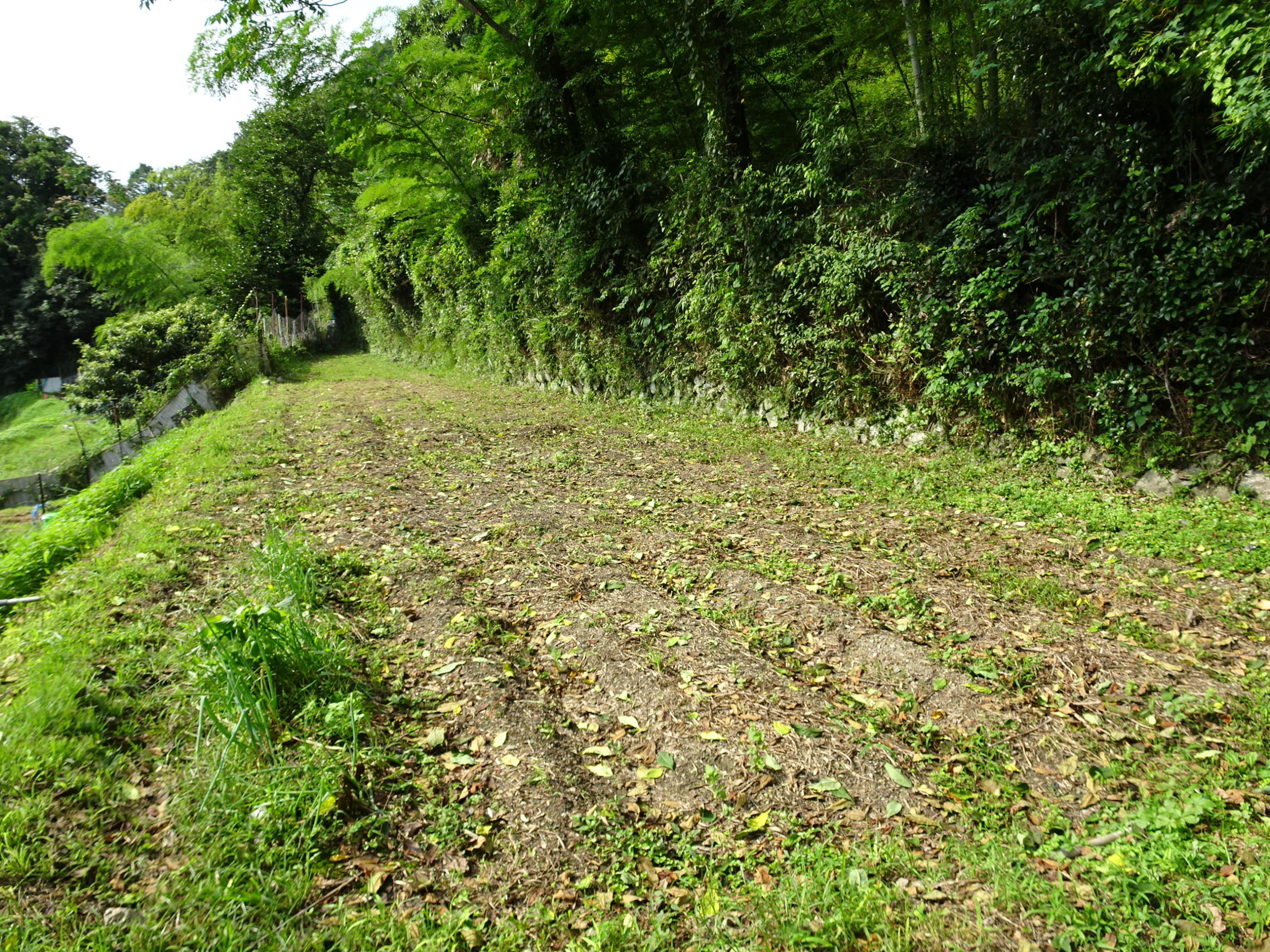 豊能里山田舎暮らし