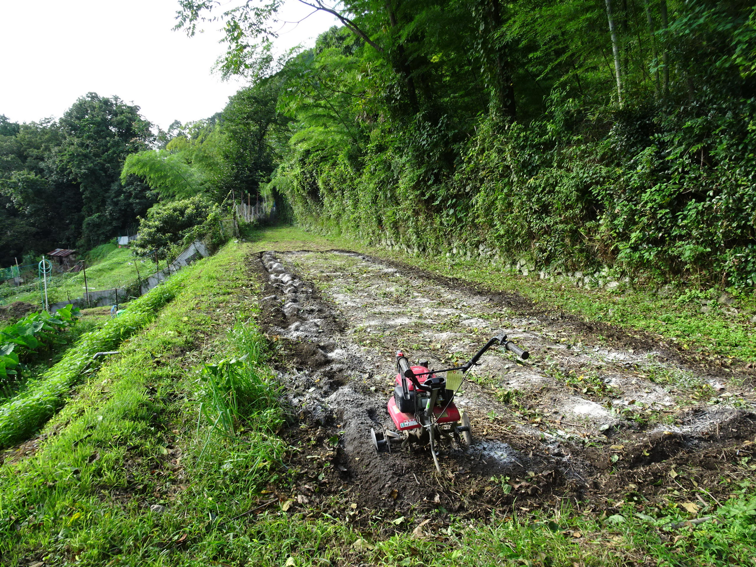 豊能里山田舎暮らし