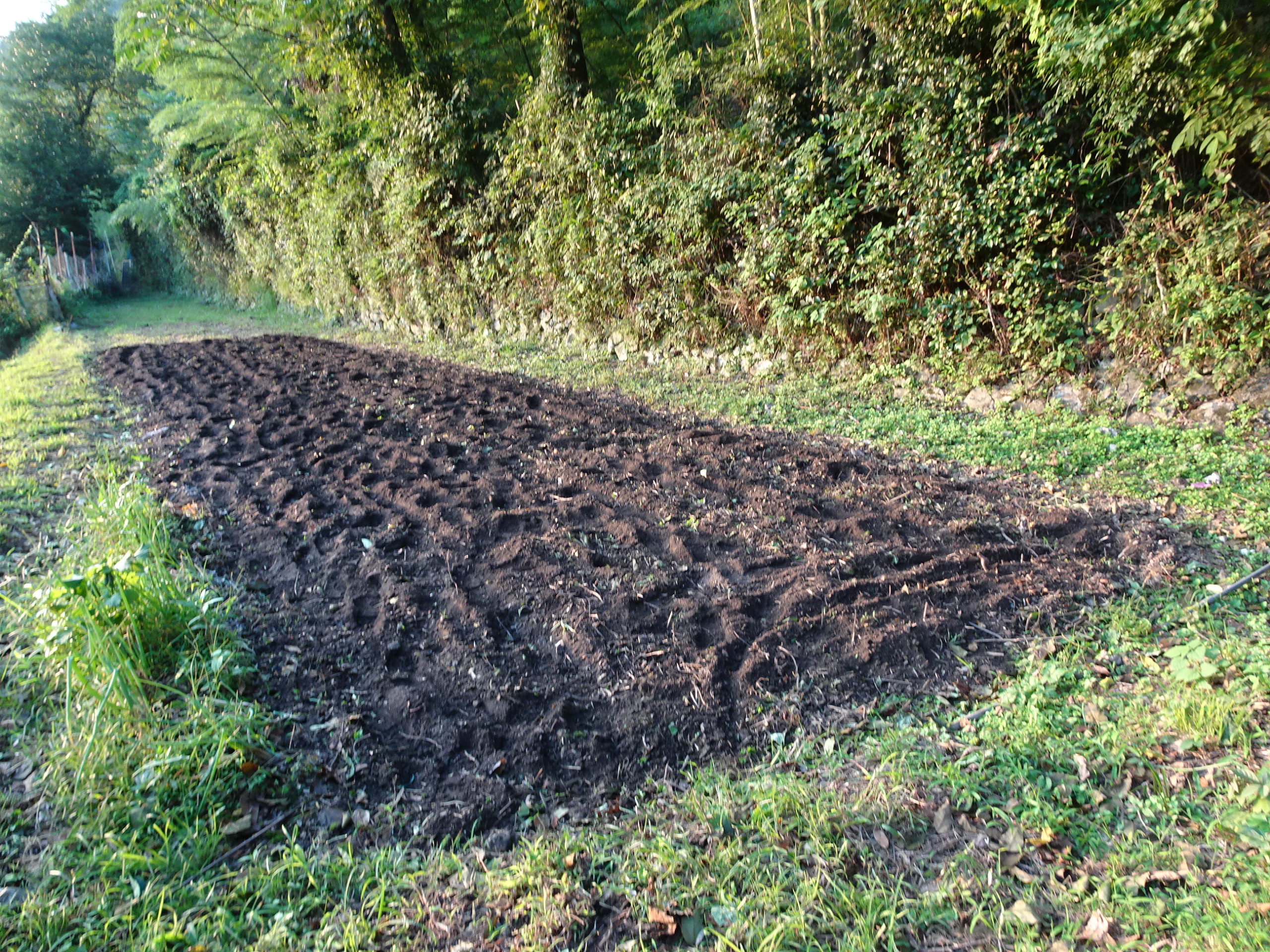 豊能里山田舎暮らし