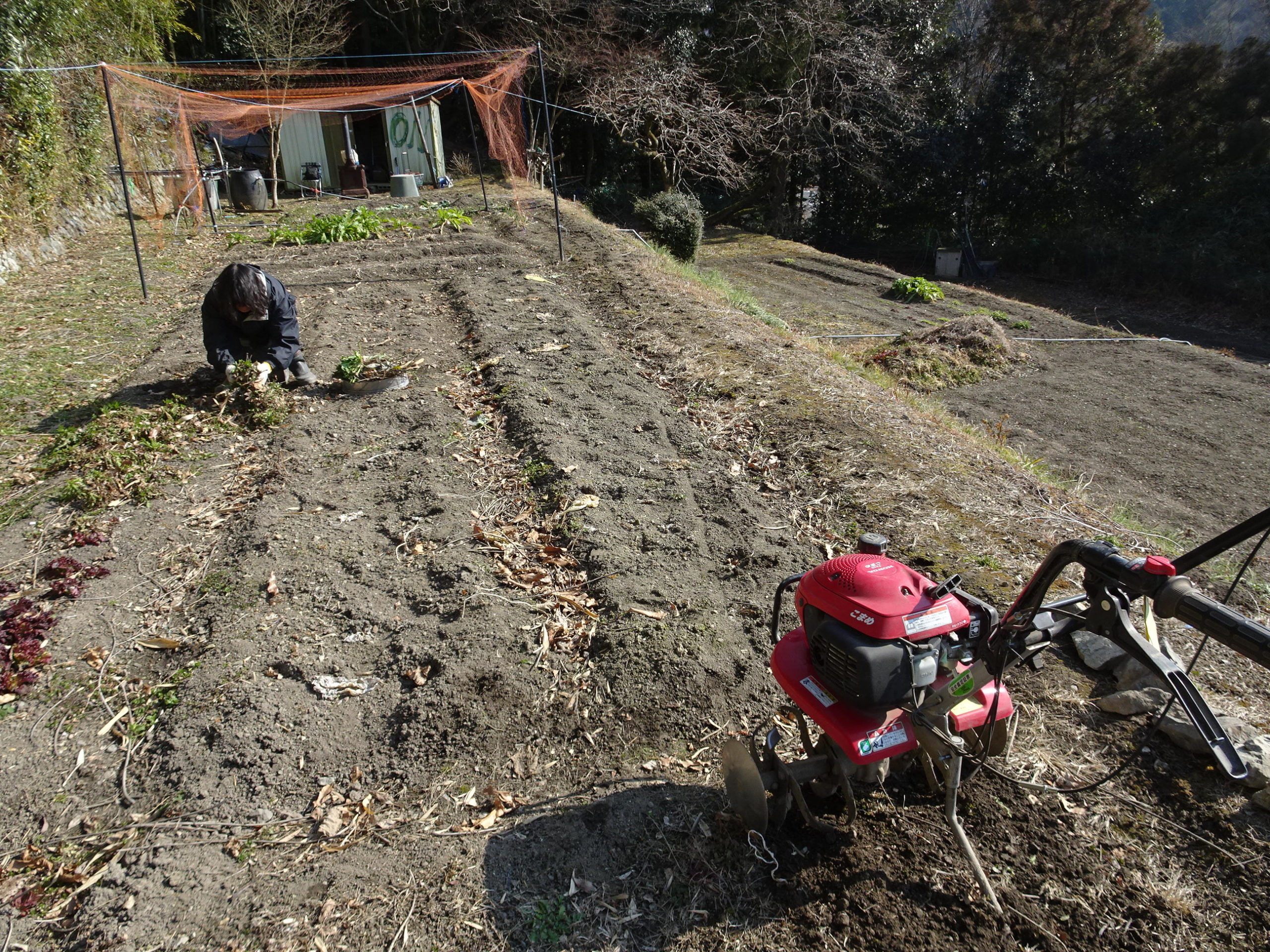 豊能里山田舎暮らし