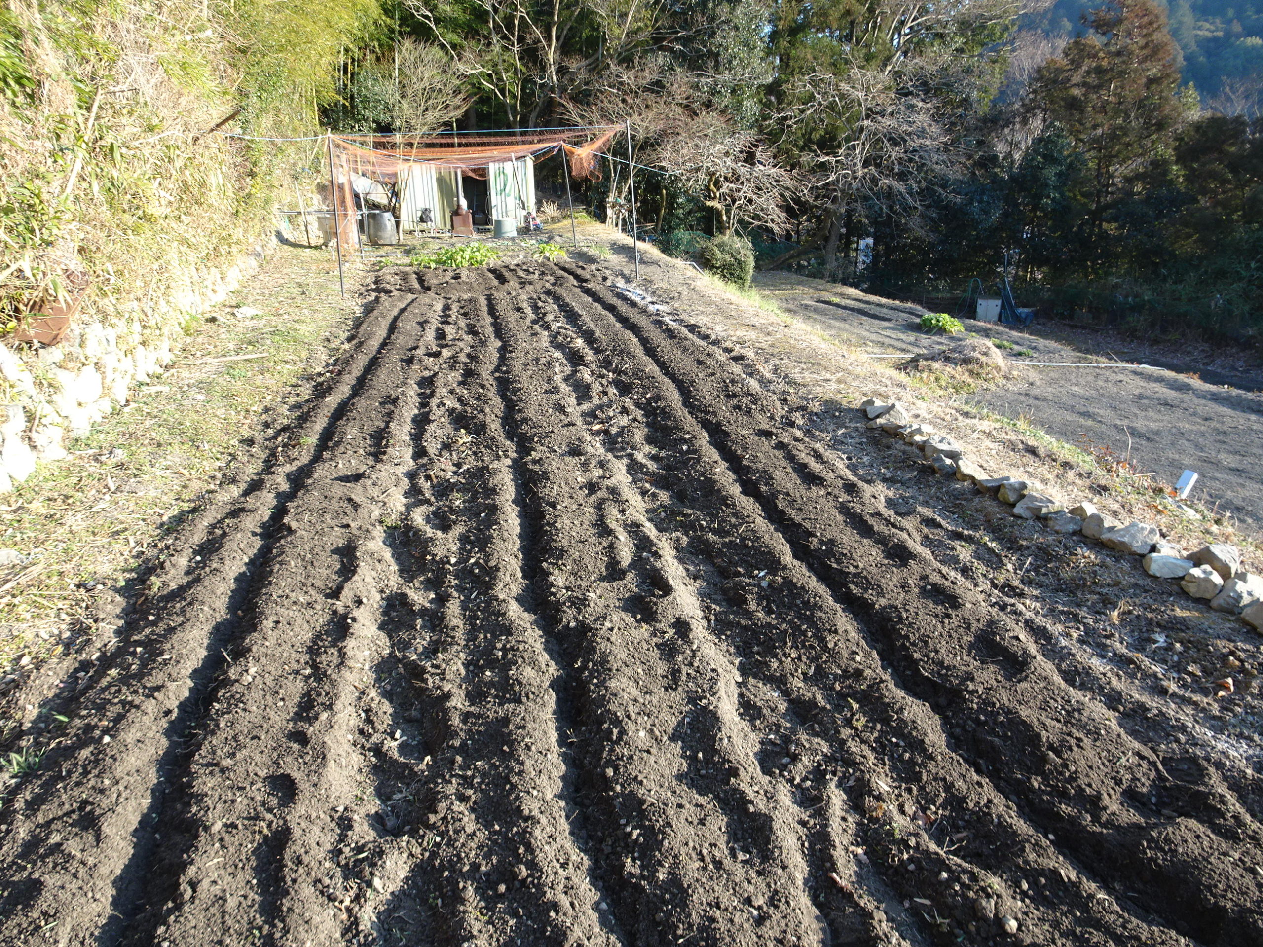 豊能里山田舎暮らし