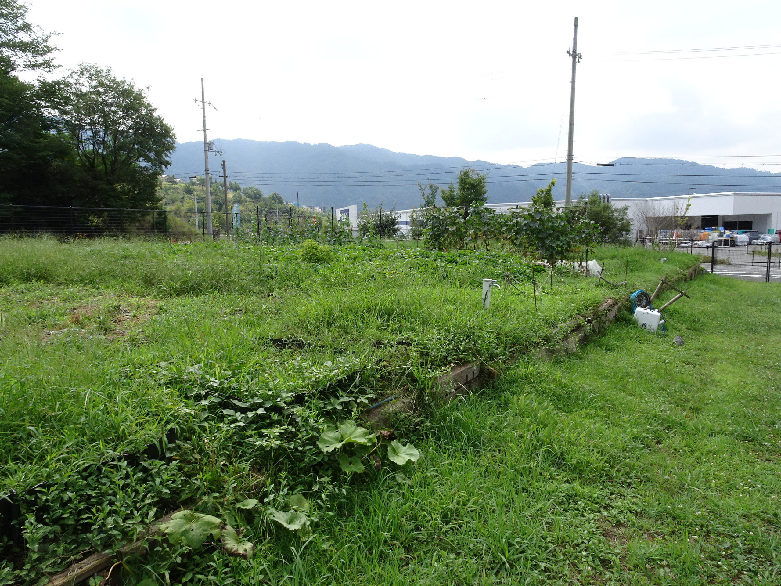 豊能里山田舎暮らし