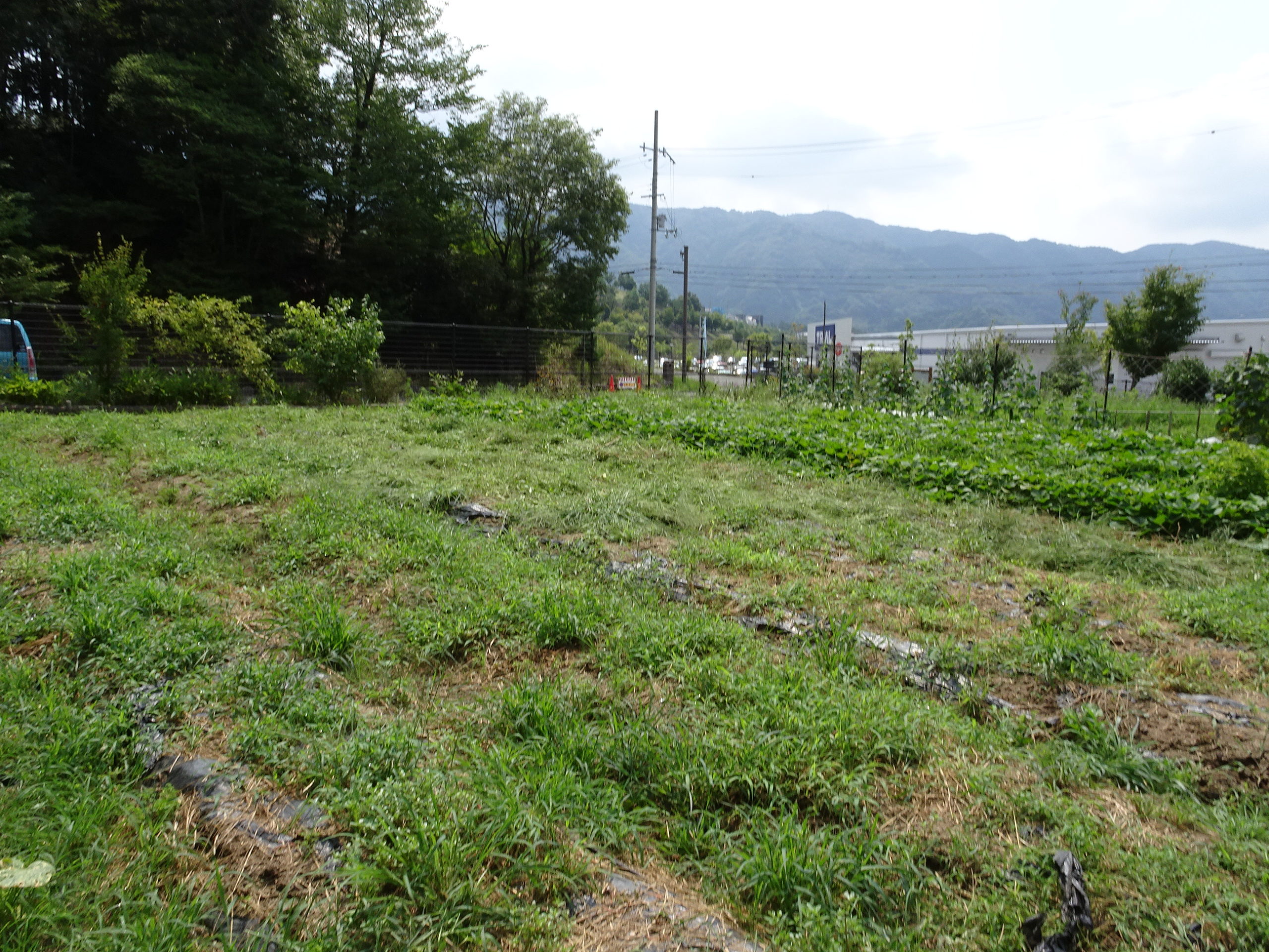 豊能里山田舎暮らし