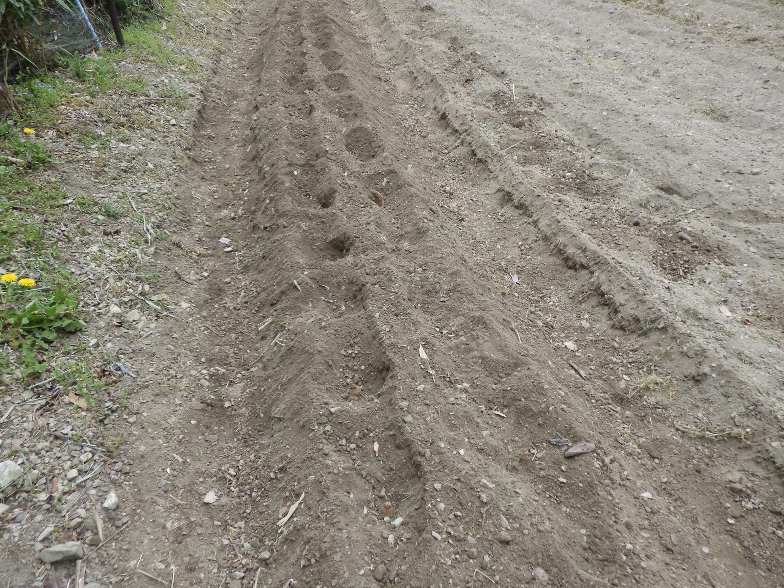豊能里山田舎暮らし