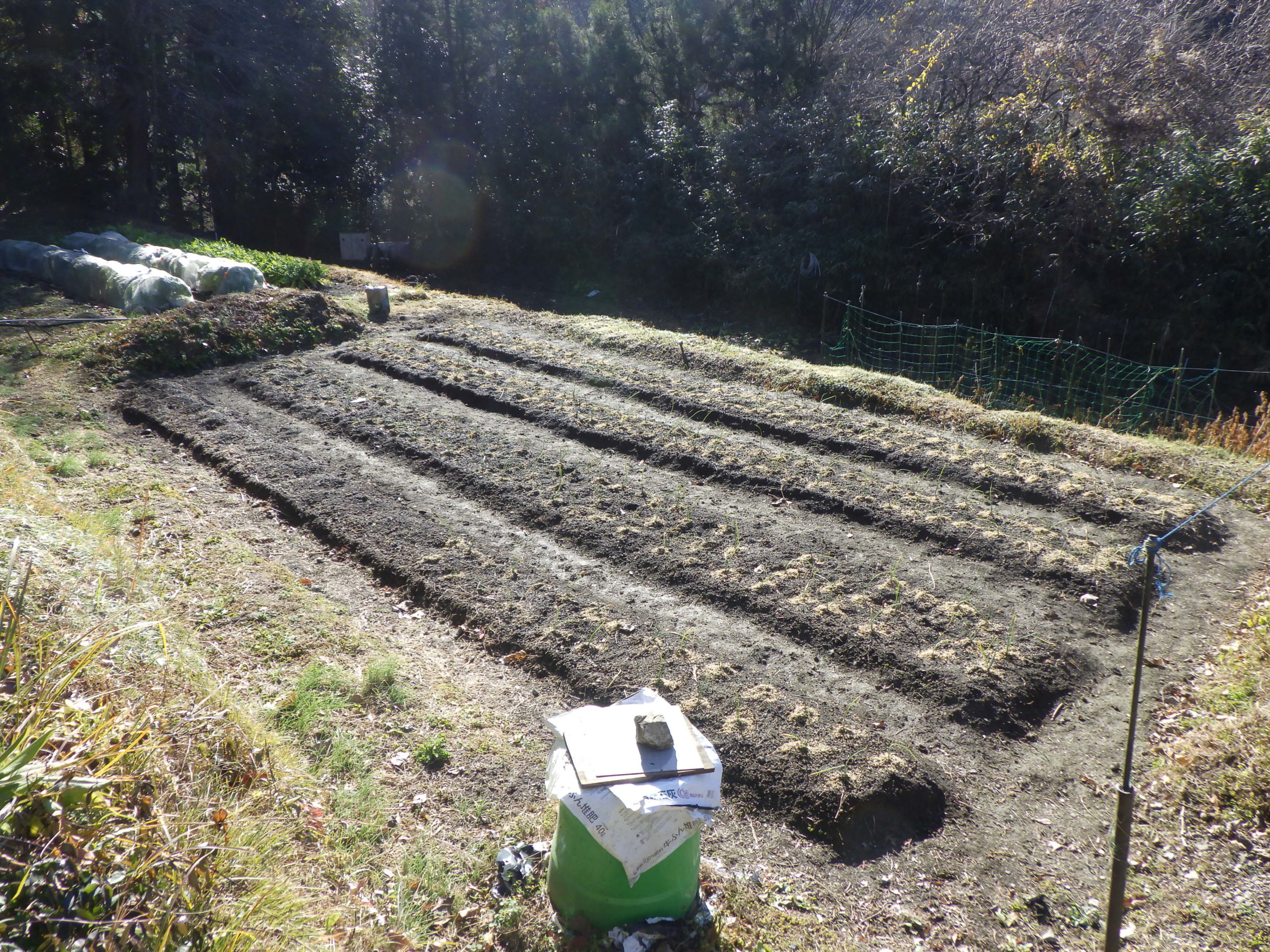 豊能里山田舎暮らし
