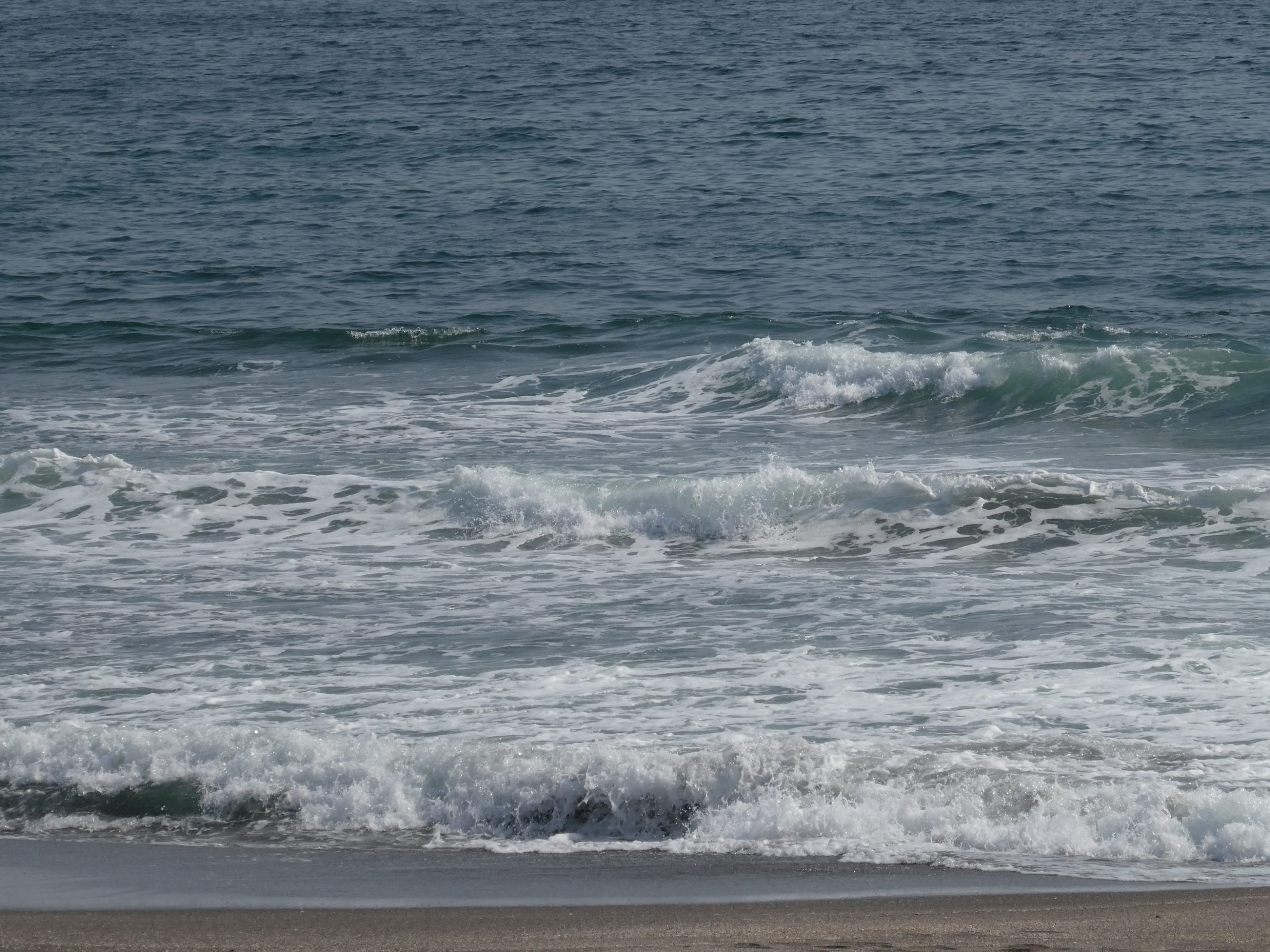 豊能里山田舎暮らし