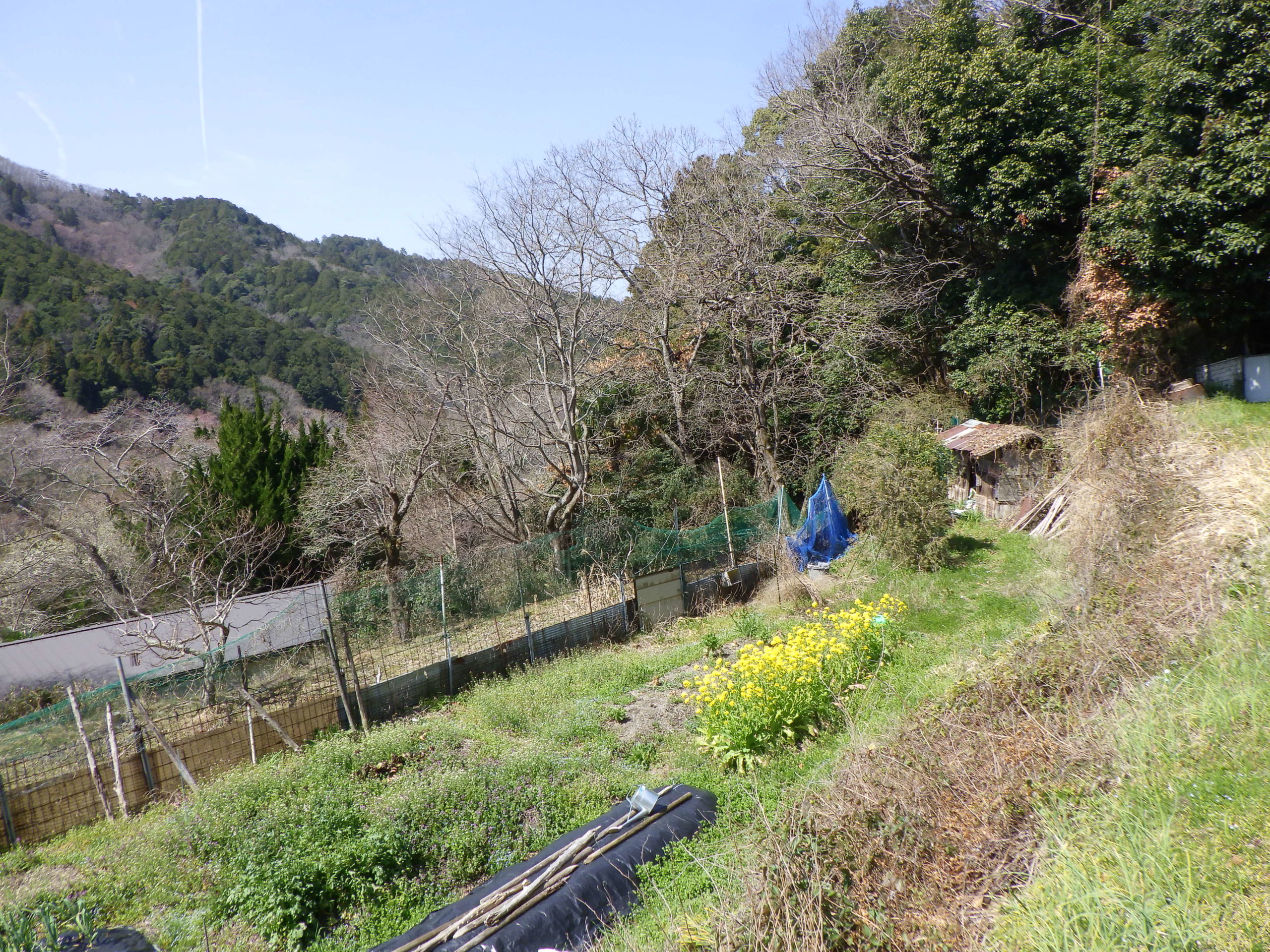 豊能里山田舎暮らし